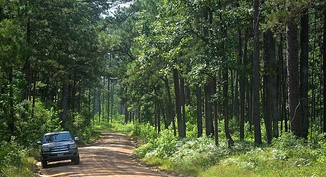 Big Thicket National Preserve, Texas