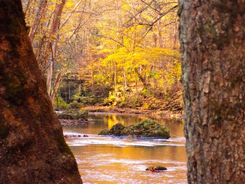 Taman yang wajib dikunjungi di antara semua taman negara bagian Ohio