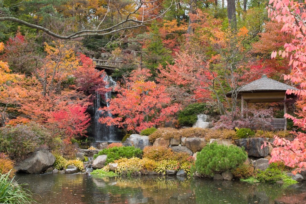 Taman Jepang Anderson