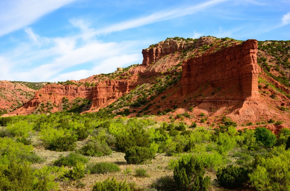 Taman dan Jalur Negara Bagian Caprock Canyons