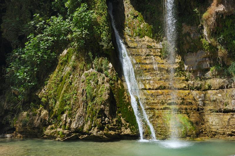 Cagar Alam Ein Gedi