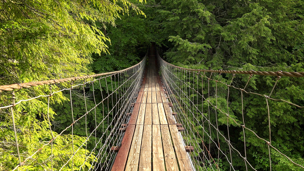Taman Negara Bagian Tennessee