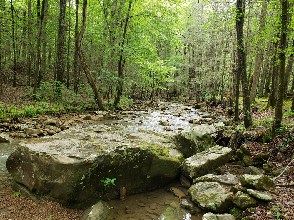 Taman Negara Bagian Tennessee