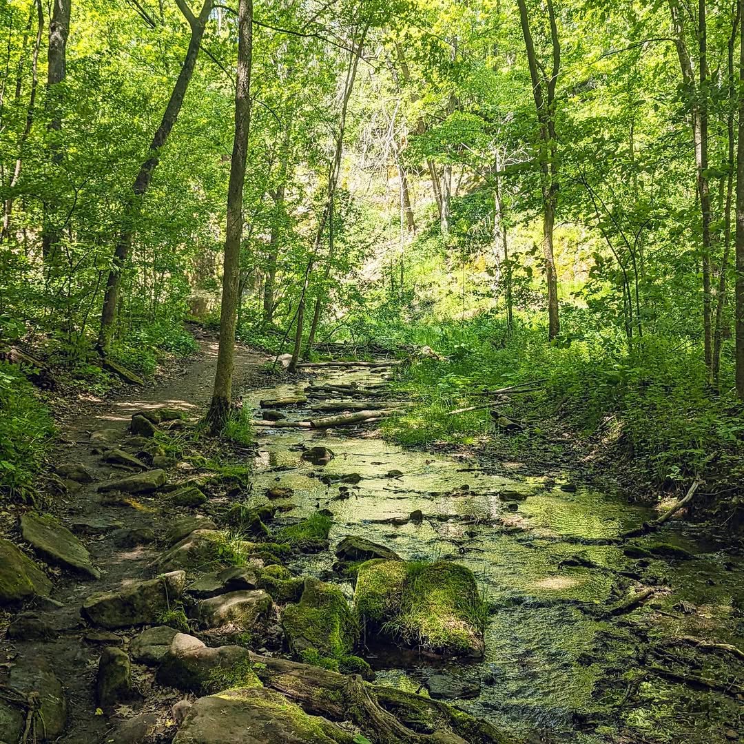 Taman Negara Bagian Wisconsin