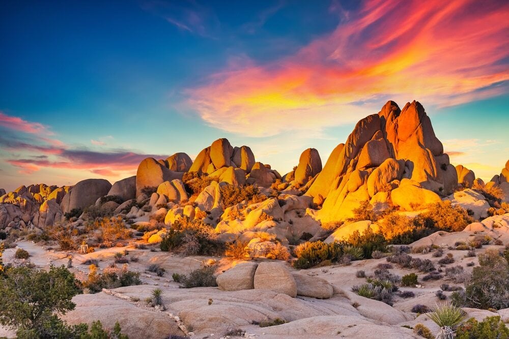 Taman Nasional Joshua Tree - taman nasional di California