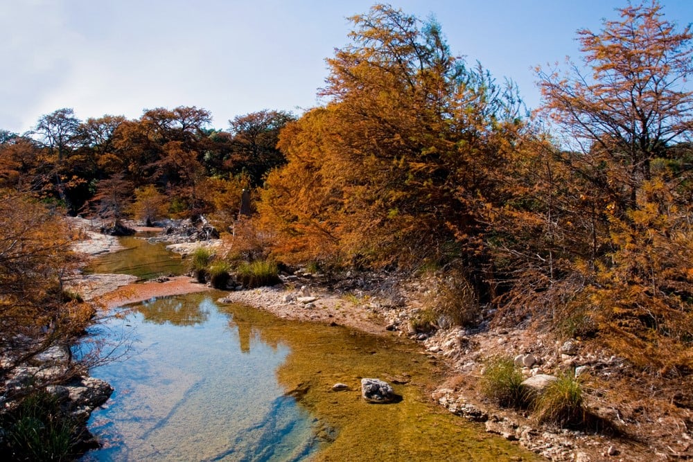 Kawasan Alam Negara Bagian Maples yang Hilang