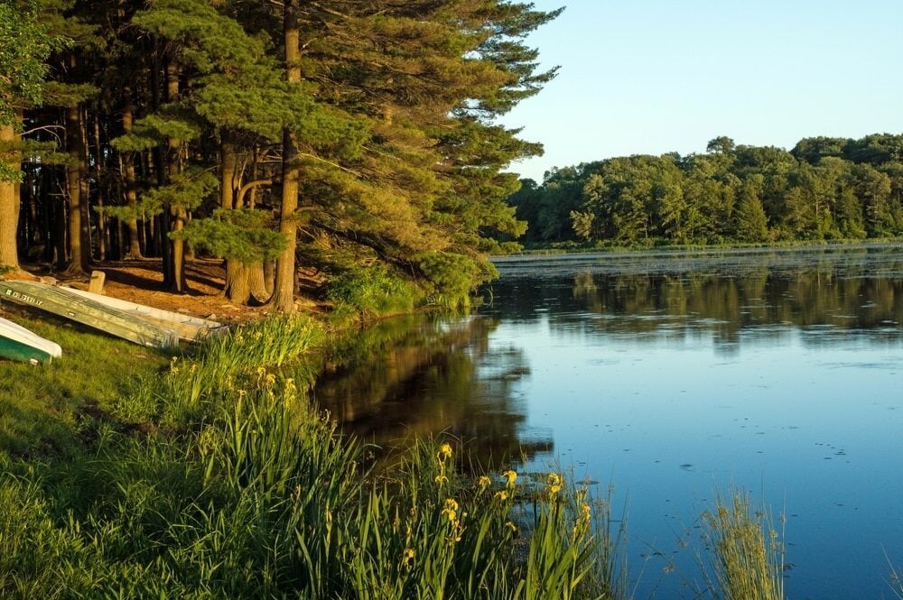 Taman Negara Bagian yang Dijanjikan - Taman Negara Bagian Pennsylvania