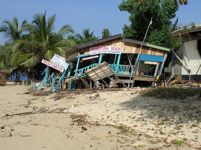 Tsunami National Geographic Berlomba Melawan Waktu