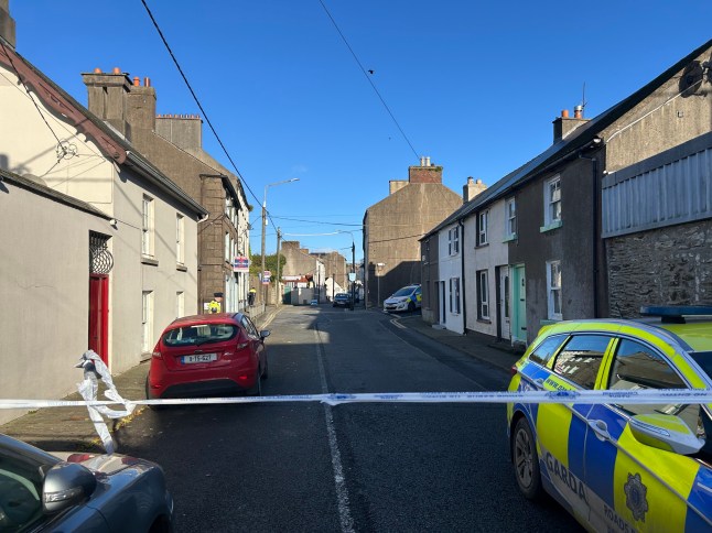 Garda di lokasi kejadian di New Ross, Co Wexford, setelah seorang gadis meninggal setelah penyerangan di sebuah rumah. Gadis itu, berusia delapan tahun, dibawa ke Rumah Sakit Universitas Waterford tetapi meninggal karena luka-lukanya pada Senin pagi. Tanggal foto: Senin 2 Desember 2024. Foto PA. Lihat cerita AP tentang serangan Irlandia. Kredit foto harus berbunyi: Cillian Sherlock/PA Wire