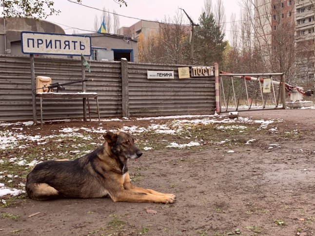Pripyat Ukraina-November 2020: jalan terbengkalai di kota hantu Prypyat di zona eksklusi Chernobyl. Terjemahkan tanda pagar: Lenin Avenue, kota Pripyat.