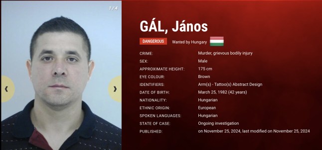 Daftar lengkap 24 penjahat dan kejahatan mereka ditambahkan ke daftar paling dicari Europol - termasuk seorang pembunuh kapak