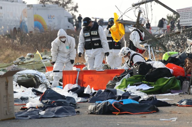 MUAN-GUN, KOREA SELATAN - 29 DESEMBER: Anggota tim penyelamat Korea Selatan memeriksa di dekat puing-puing pesawat penumpang di Bandara Internasional Muan pada 29 Desember 2024 di Muan-gun, Korea Selatan. Sebuah pesawat yang membawa 181 orang, Jeju Air Penerbangan 7C2216, jatuh di Bandara Internasional Muan Korea Selatan setelah tergelincir dari landasan pacu dan menabrak dinding sehingga menyebabkan ledakan. Laporan awal menyebutkan sedikitnya 120 orang tewas. (Foto oleh Chung Sung-Jun/Getty Images)