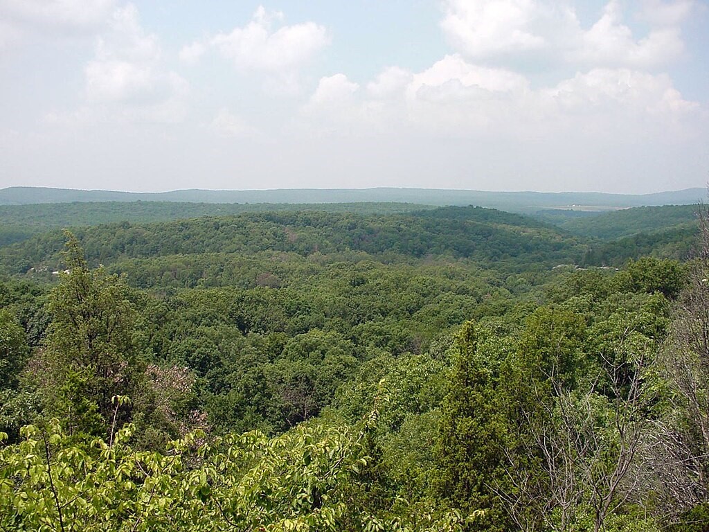 Hutan Nasional Shawnee – salah satu tempat terbaik untuk dikunjungi di Illinois