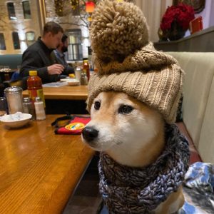 Restoran Wishbone, Restoran Ramah Anjing Terbaik di Chicago