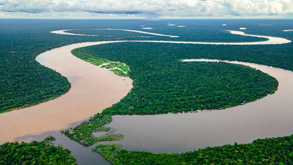 Pemandangan udara hutan hujan Amazon