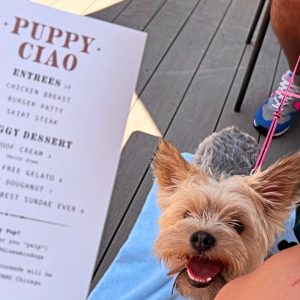 Pelanggan tetap menu Pup di Bar Siena, sebuah restoran ramah anjing di Chicago