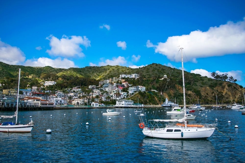 liburan keluarga terbaik di AS -Catalina Island, California