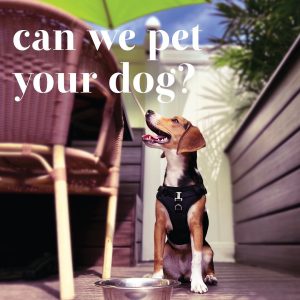 Pemilik anak anjing di Edward Enoteca