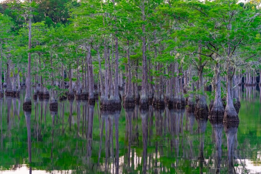 Taman George L Smith, Taman Negara Bagian Terbaik di Georgia
