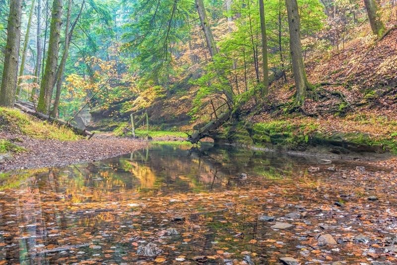 Ohio State Parks – salah satu taman terbaik