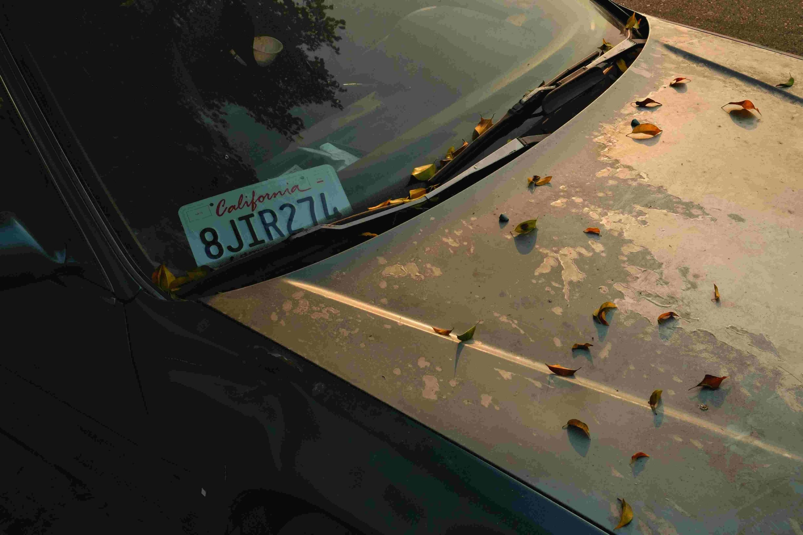 Biaya Pendaftaran Mobil California