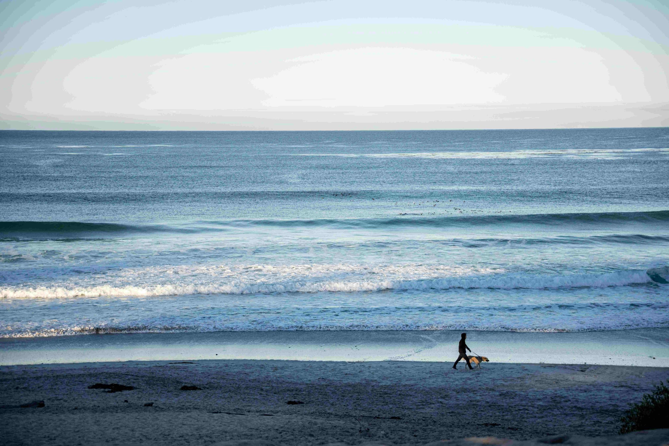 Carmel di Tepi Laut, California