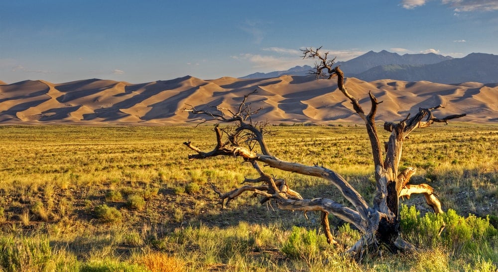 Parc national des Grandes Dunes de Sable
