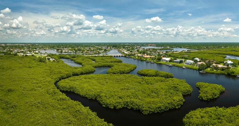 Taman Nasional Everglades