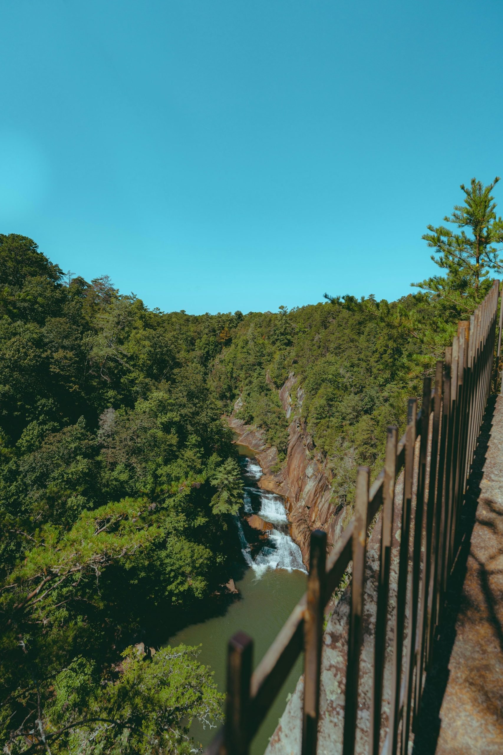 Taman Negara Bagian Tallulah di Georgia