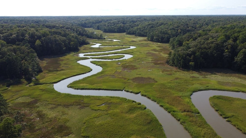 Taman Negara Bagian Virginia - Taman Negara Bagian Sungai York